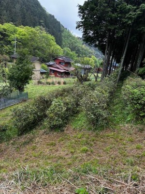 image2_18.jpeg