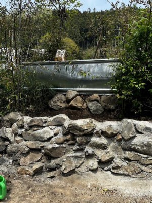 image8.jpeg