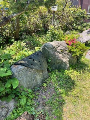 image1.jpeg