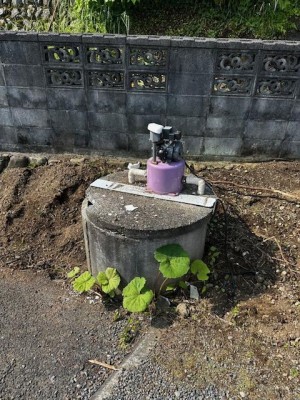 image2_2.jpeg