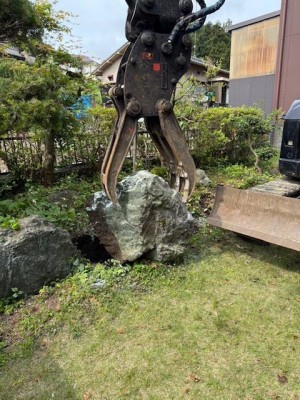 image3.jpeg