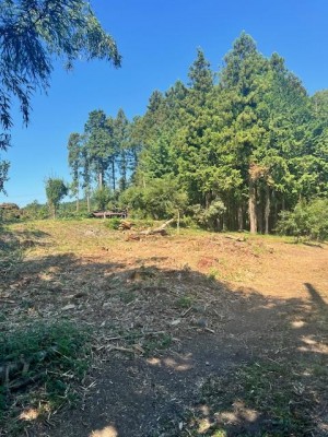 image1_12.jpeg