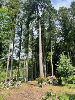 image7.jpeg