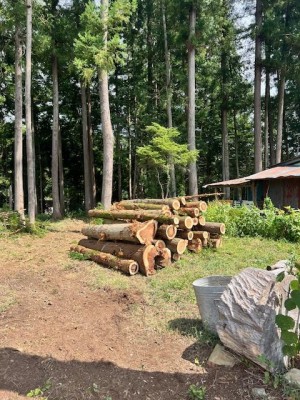 image8.jpeg