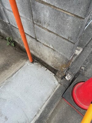 image1_18.jpeg