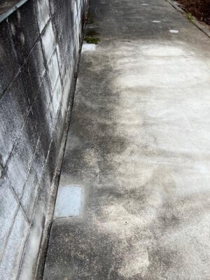 image2_16.jpeg