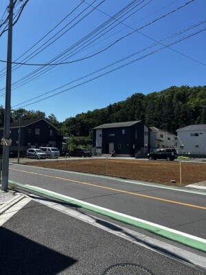 image3_13.jpeg