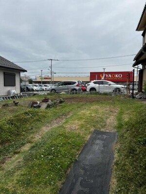 image2.jpeg
