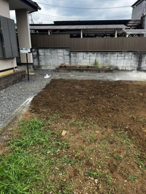 image3.jpeg