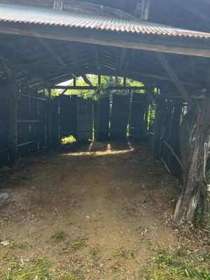 image3_2.jpeg