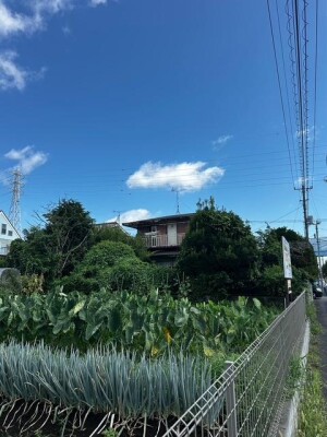image1_10.jpeg