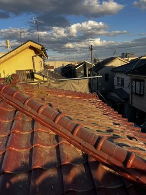 image1_18.jpeg